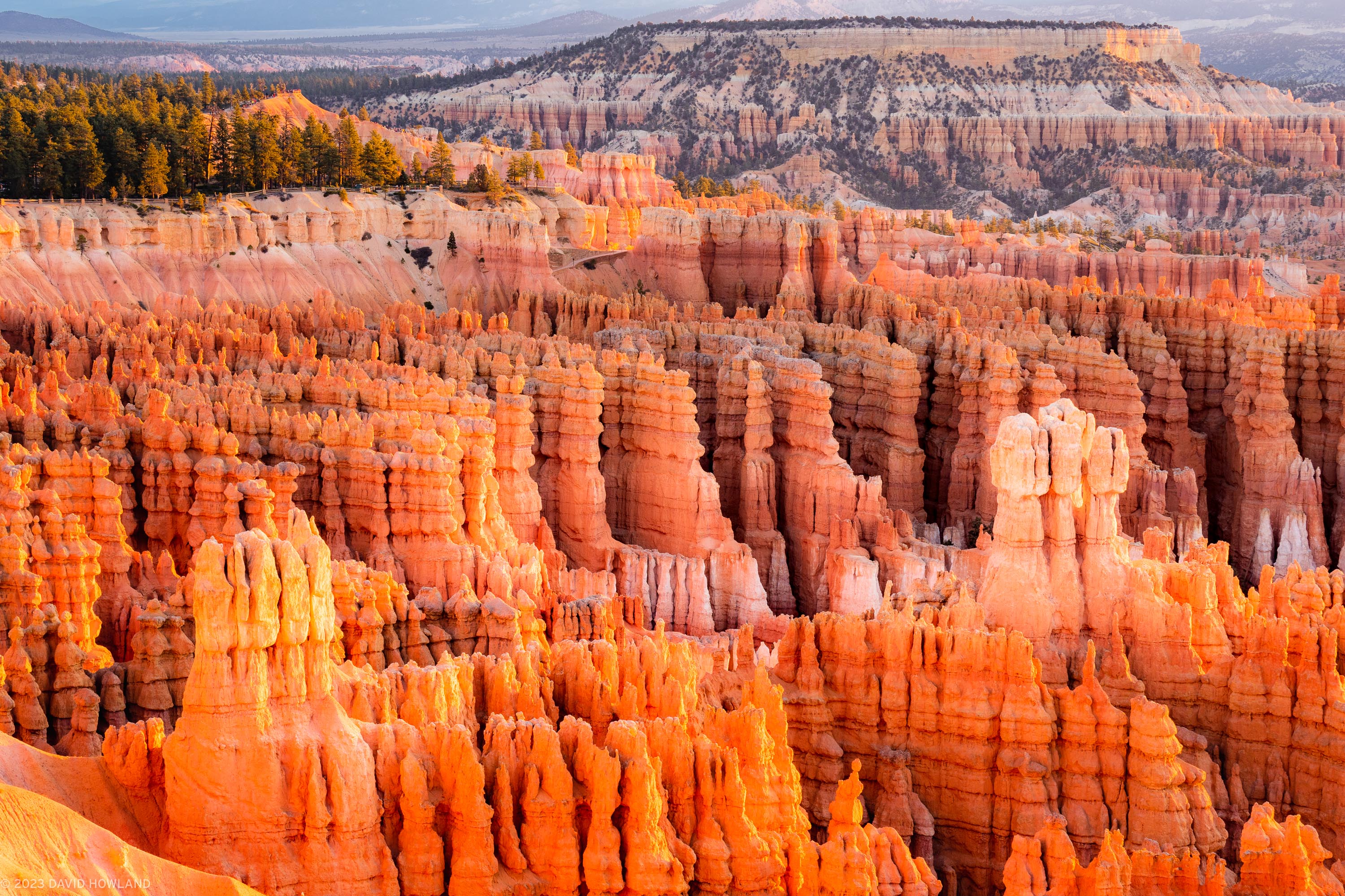 Bryce Canyon Hoodoos Sunrise