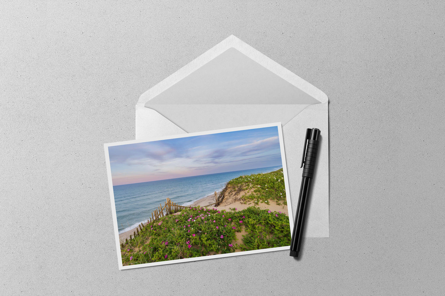 Rosa Rugosa Sunset 5x7 Note Card